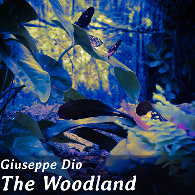 The Woodland cover