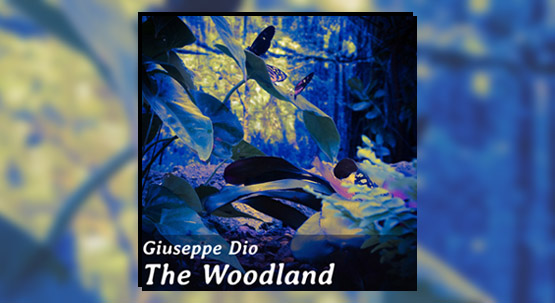 New single The Woodland. New Album in September.
