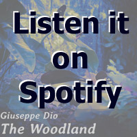 The Woodland di Giuseppe Dio su Spotify